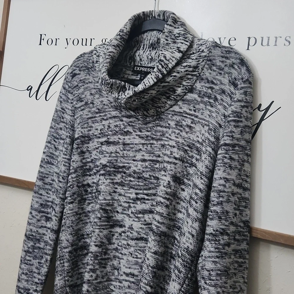 Express 100%Cotton Sweater Size Small Contemporary Collegiate Casual Mens